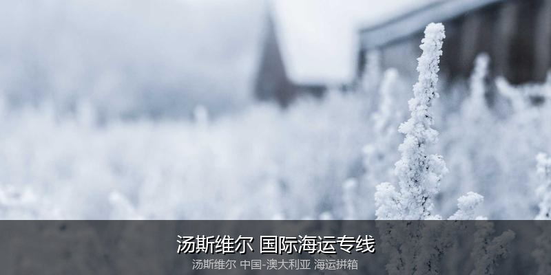 澳大利亚海运专线时效对比与选择指南